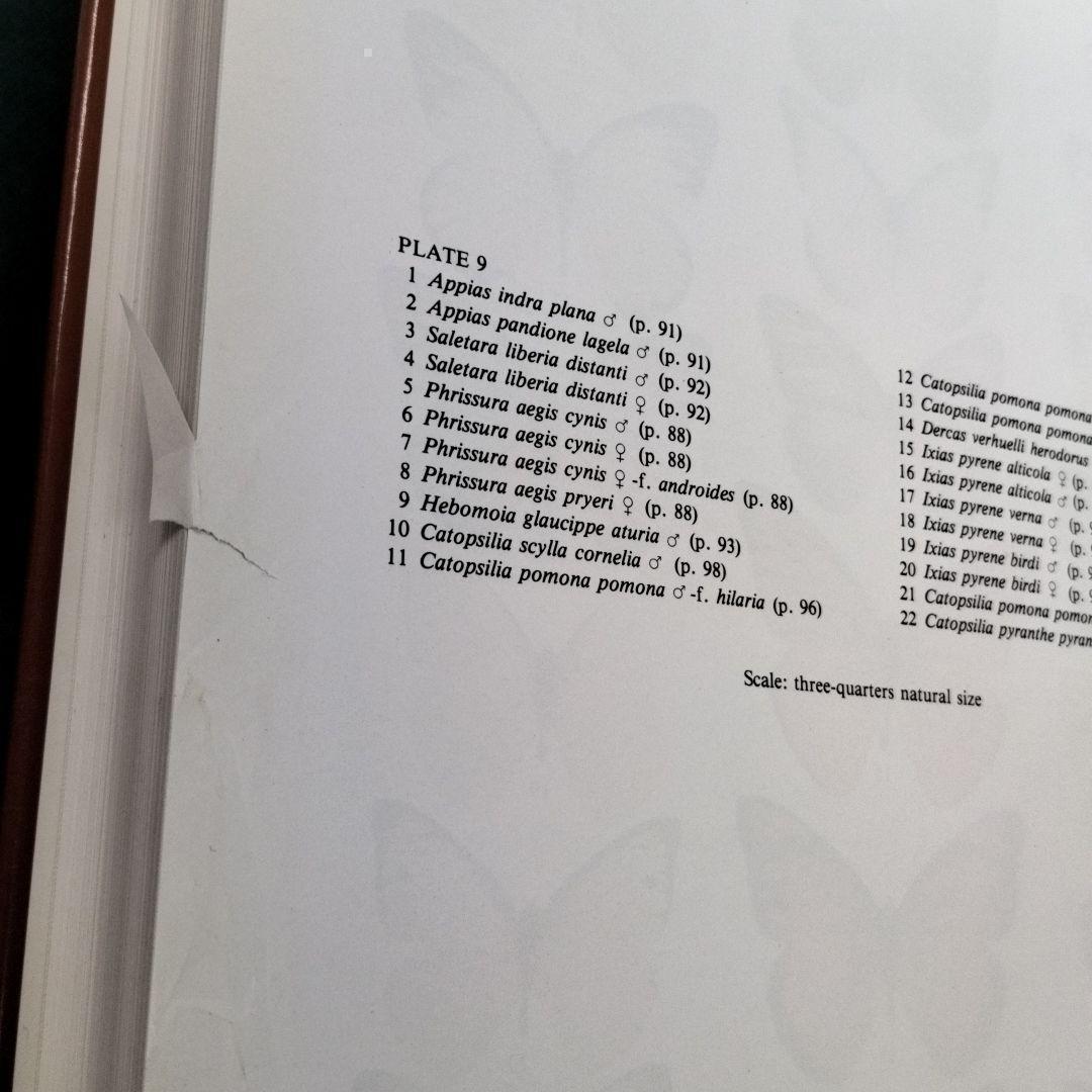 洋書 THE BUTTERFLYS OF THE MALAY PENINSULA