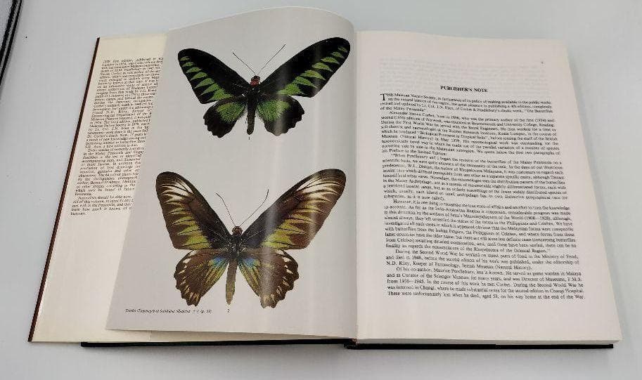 洋書 THE BUTTERFLYS OF THE MALAY PENINSULA