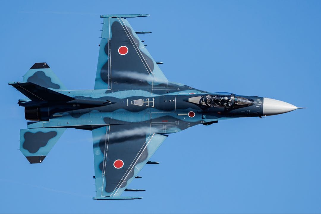 Canon EF500mm F4L IS USM 単焦点超望遠レンズ