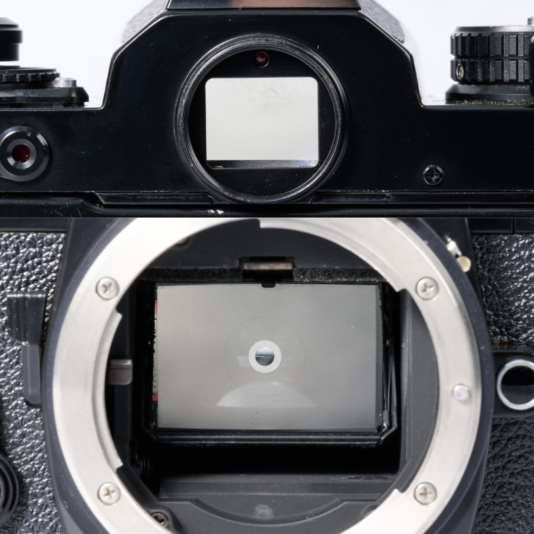 綺麗 Nikon FE ブラック / Ai NIKKOR 50mm F1.4