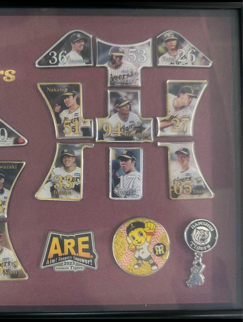 阪神タイガース　2023 プレミアムプラス ファンクラブ　ピンズ コンプリート