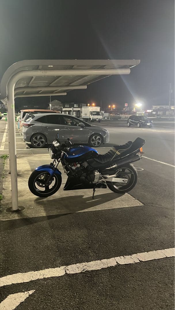 ホーネット250 アンダーカウル acp