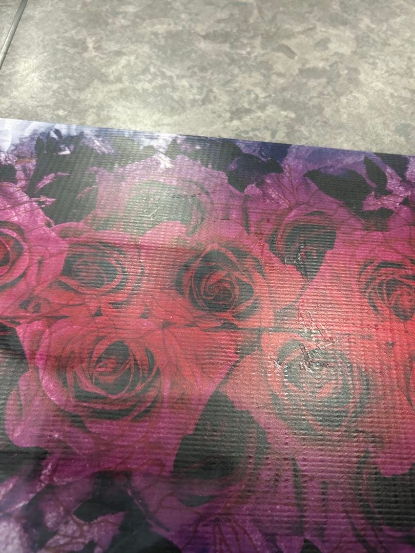 【売約済み】 NITRO ARIAL 146 中古品 美品