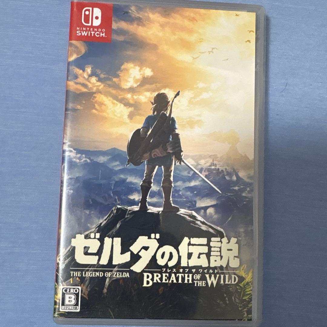 Mocaさん専用　ゼルダ無双 厄災の黙示録