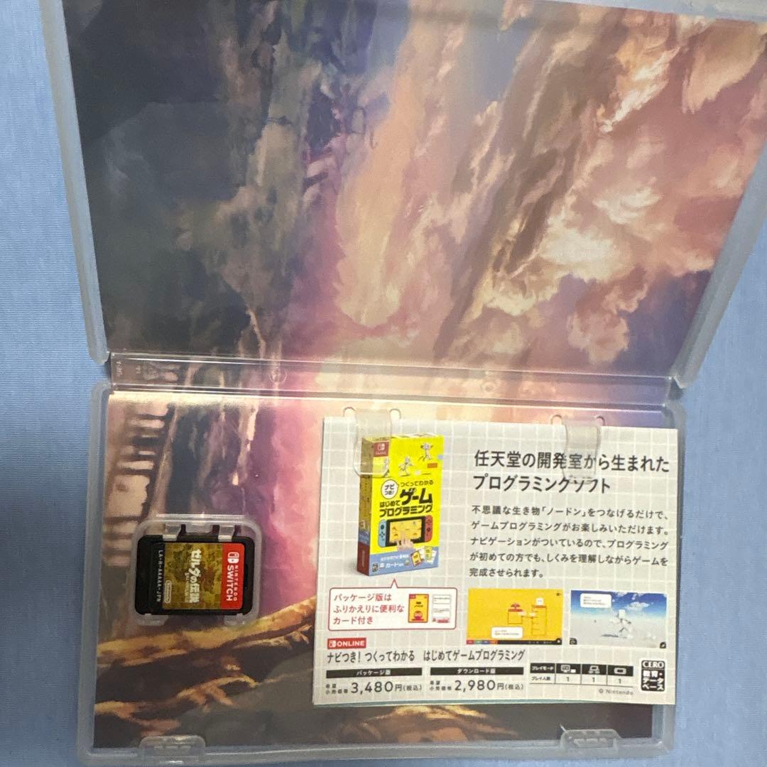 Mocaさん専用　ゼルダ無双 厄災の黙示録