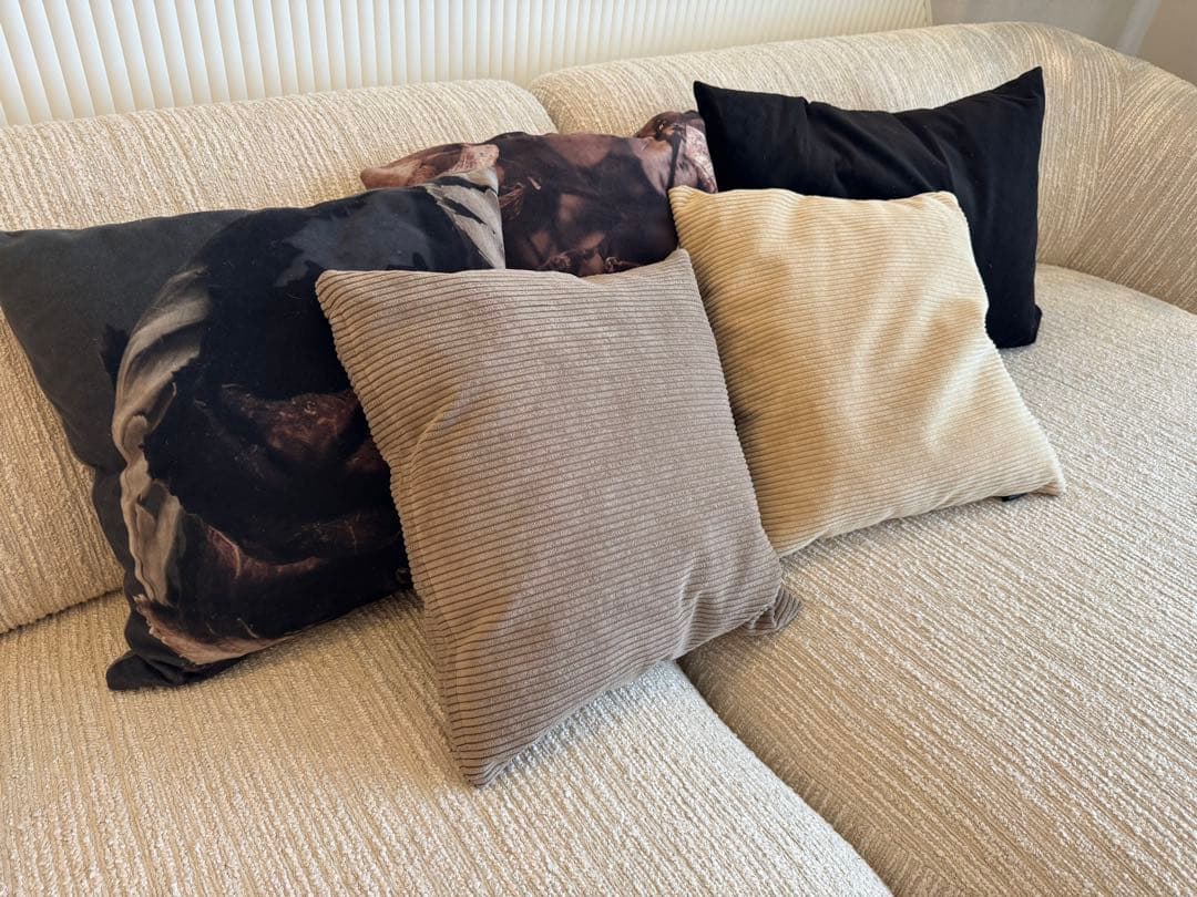 ボーコンセプト　BoConcept クッション5点セット