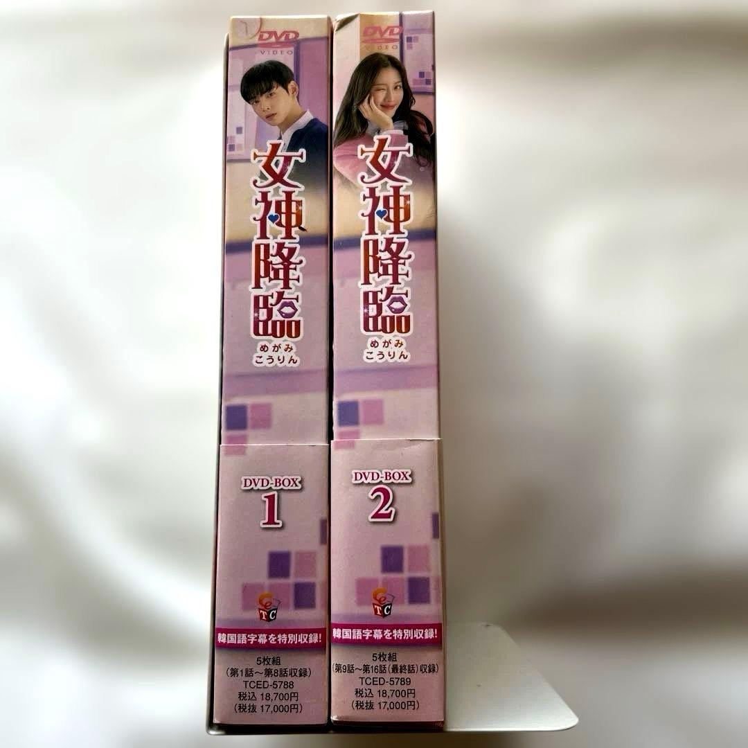 【女神降臨 】DVD-BOX1・2 封入特典（ポストカード他）韓国ドラマ