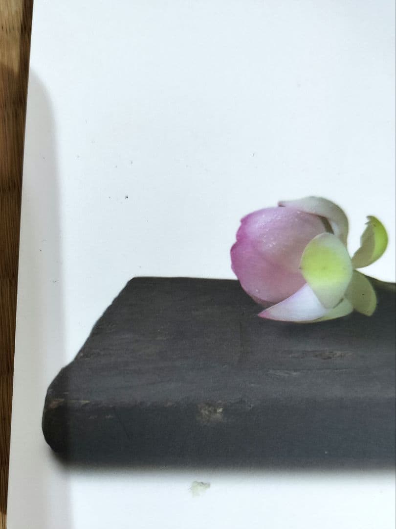 お値下げしました、目の眼　2023年１月〜12月号