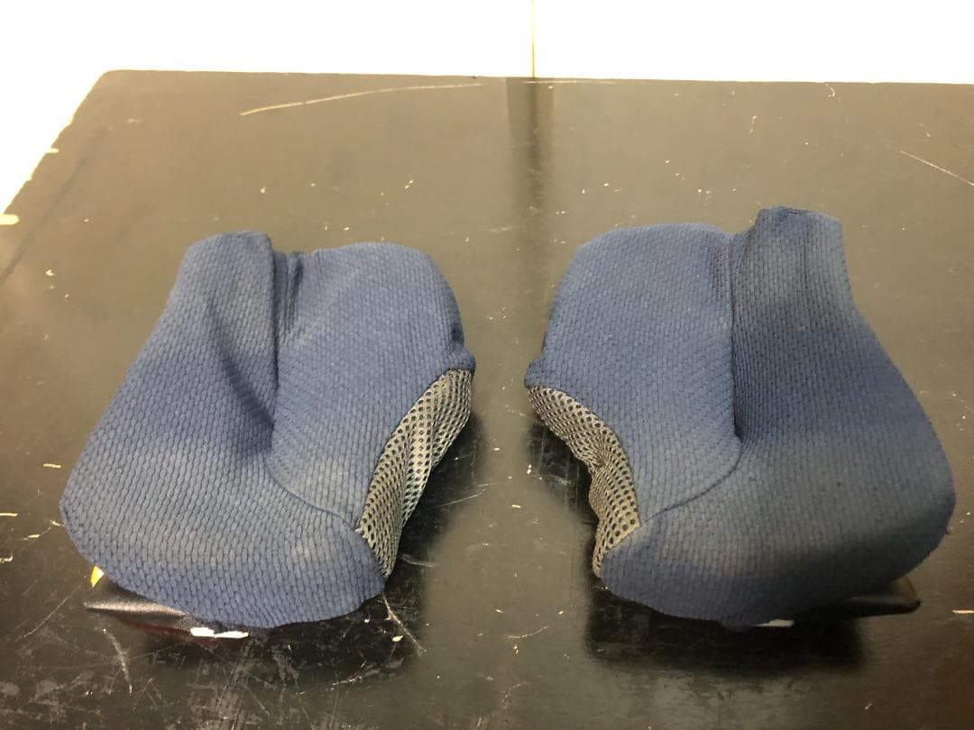 Arai RX-7X IOMTT 2018 L プロシェード ガラスコーティング