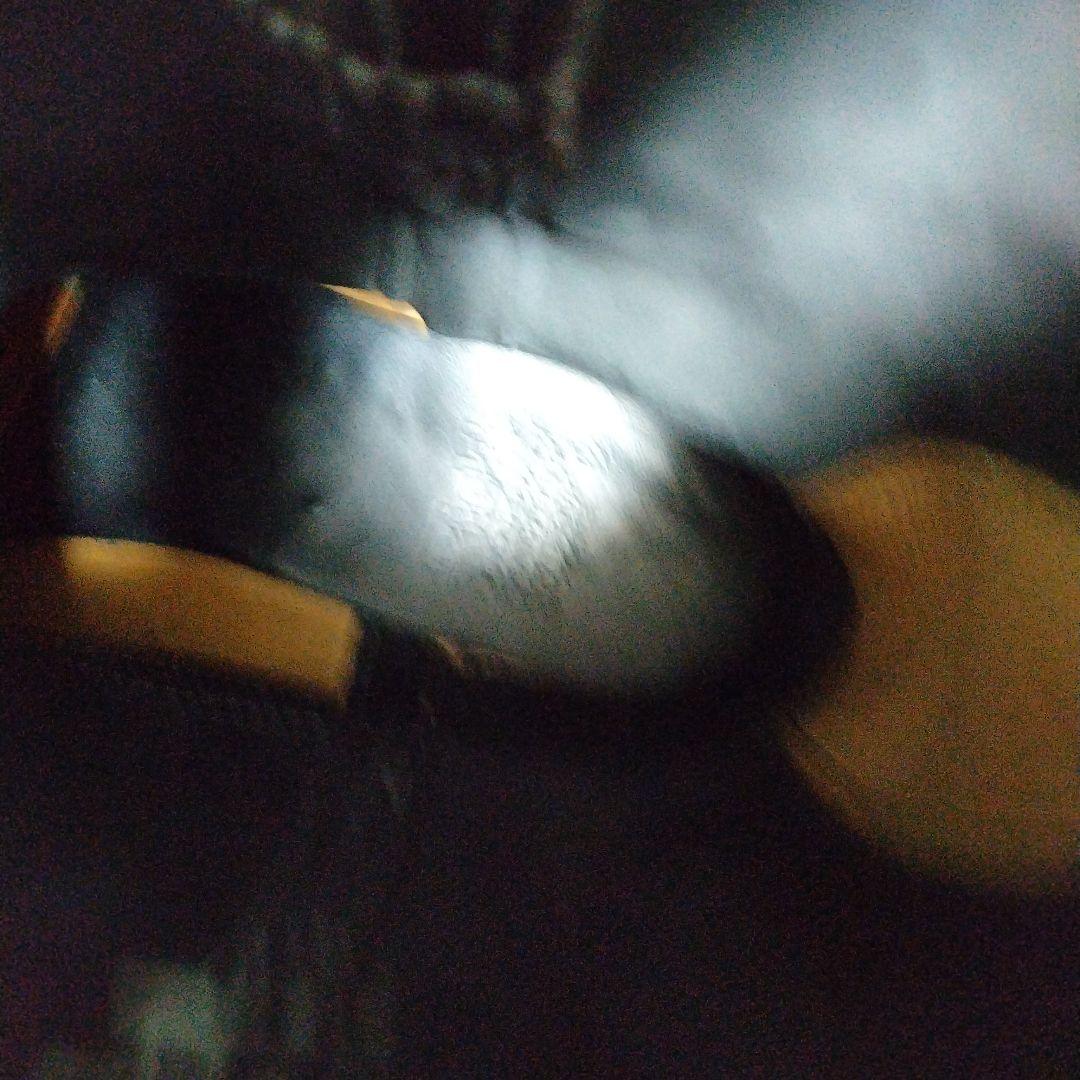 Nicks　Boots　ペコスブーツ　　　　WHITES　　WESCO