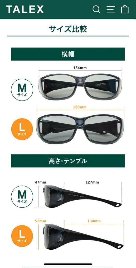 TALEX サングラス EM6-D06-02 専用ケース、グラスゴード付き