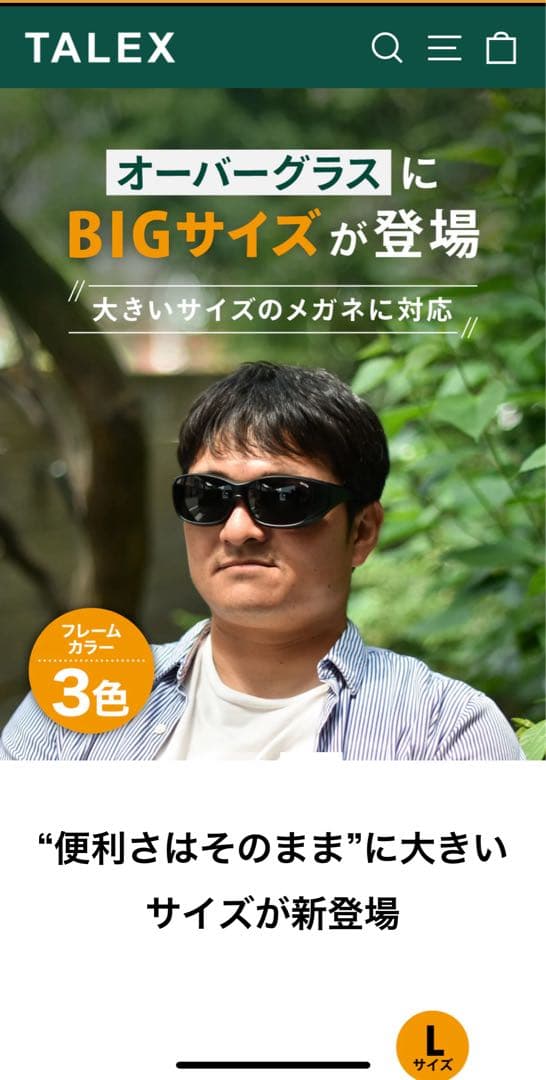 TALEX サングラス EM6-D06-02 専用ケース、グラスゴード付き