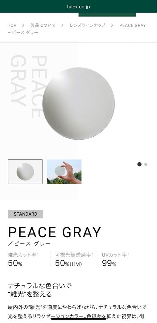 TALEX サングラス EM6-D06-02 専用ケース、グラスゴード付き