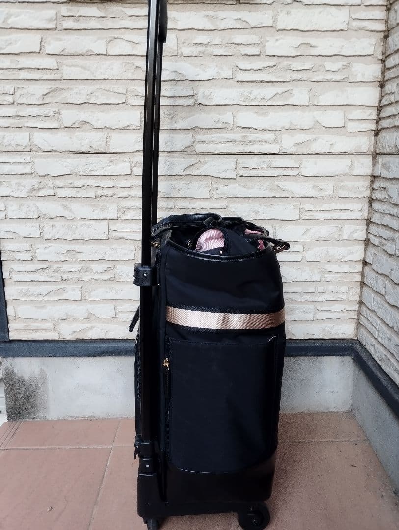 お揃いのポシェットつき！スワニー黒いナイロン製キャリーケース