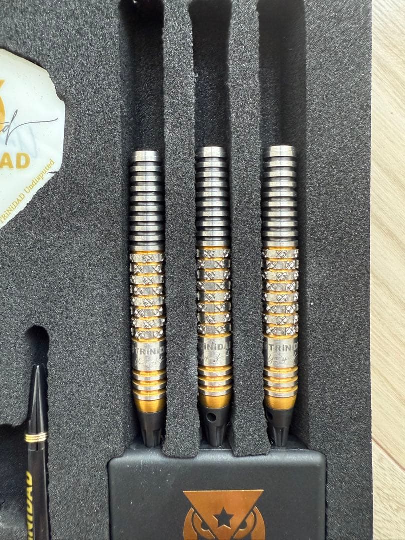 trinidad ダーツ トリニダード リカルドα 浅田斎吾 モデル