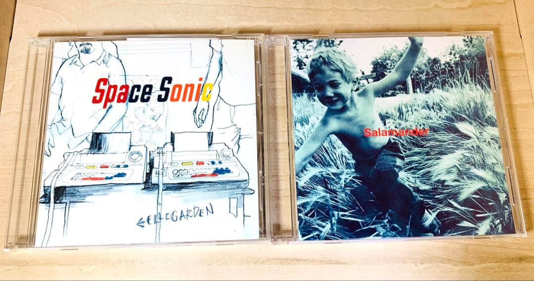 ELLEGARDEN エルレガーデン CD 全15枚 まとめ売り セット