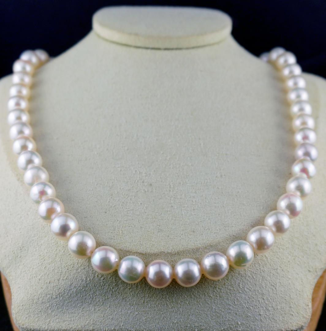 某有名百貨店卸!艶々ホワイトピンク『大粒あこや真珠』8.5㎜～9.0㎜ネックレス