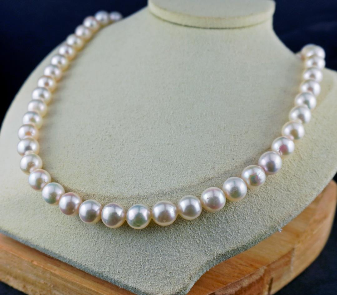 某有名百貨店卸!艶々ホワイトピンク『大粒あこや真珠』8.5㎜～9.0㎜ネックレス