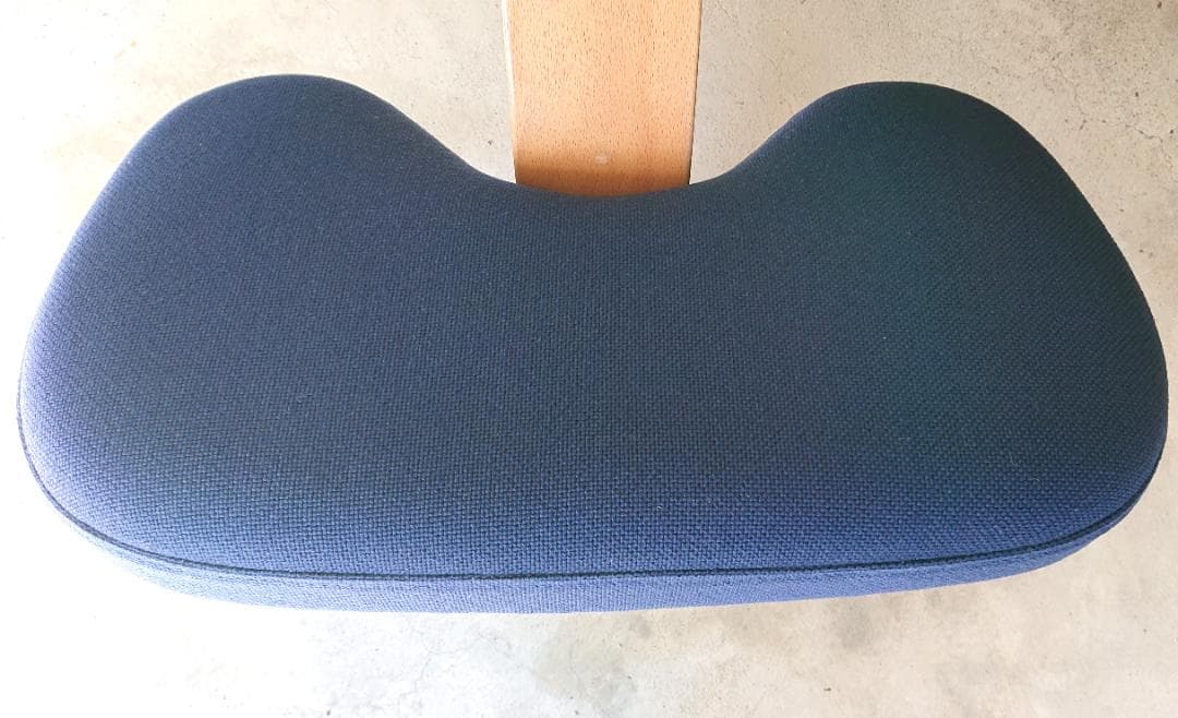 【良品】サカモトハウス バランスチェアイージー 　ブルー１