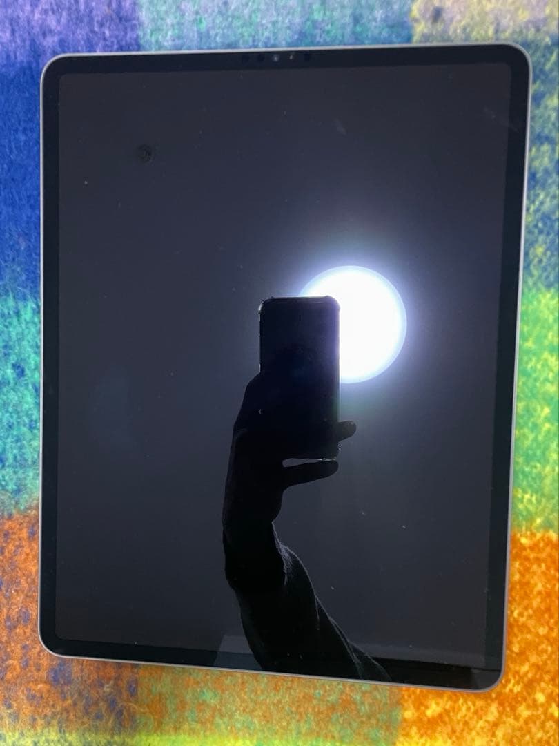 iPad Pro 12.9インチ第5世代256GB