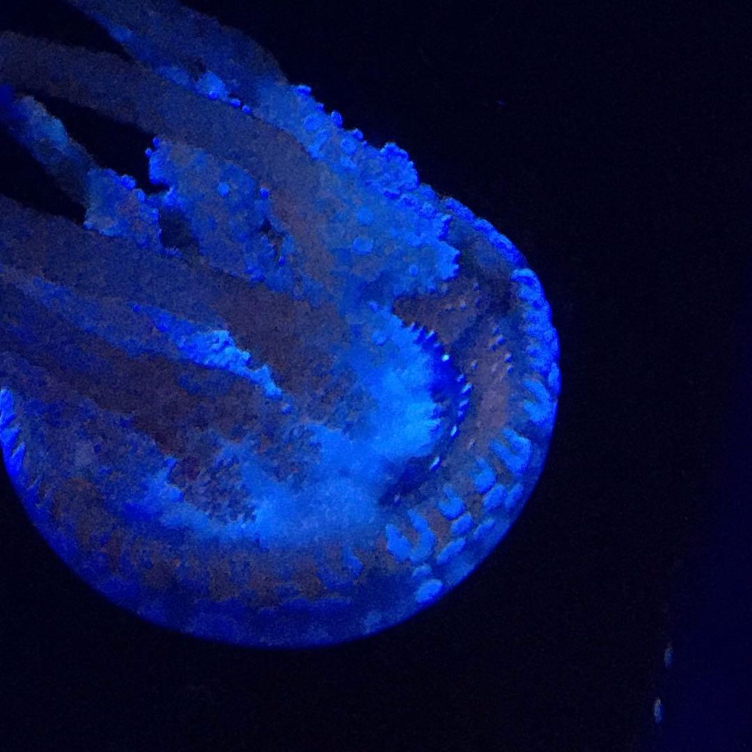 Vivian様　新品　ゲラン　オーキデアンペリアル　UVプロテクター