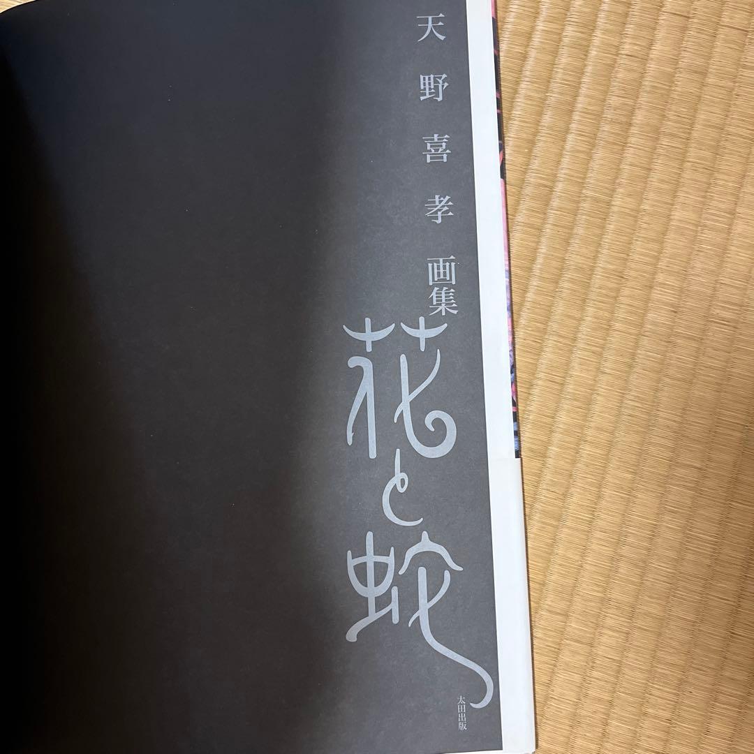 ［画集］花と蛇 天野喜孝✖️団鬼六