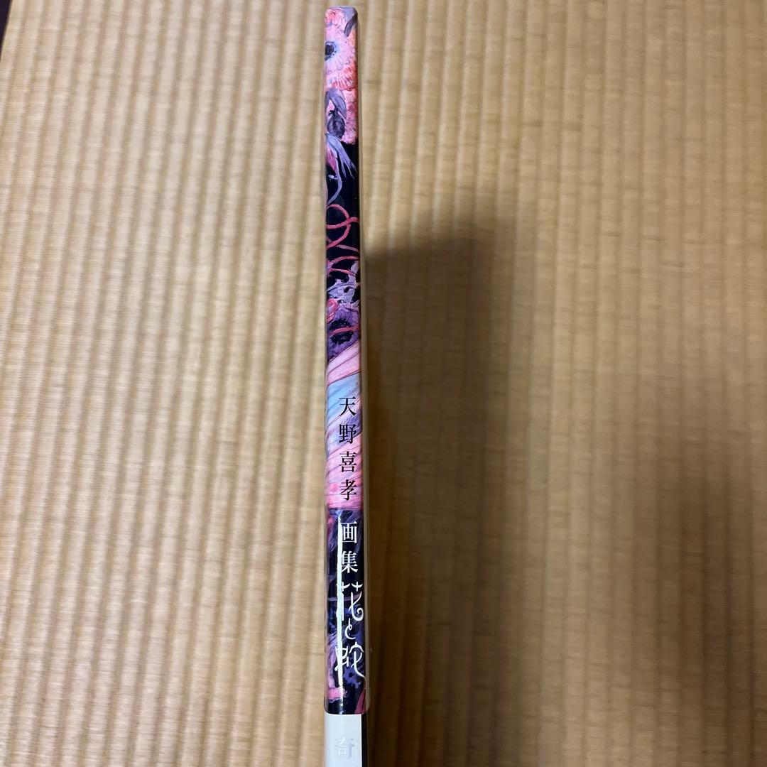 ［画集］花と蛇 天野喜孝✖️団鬼六