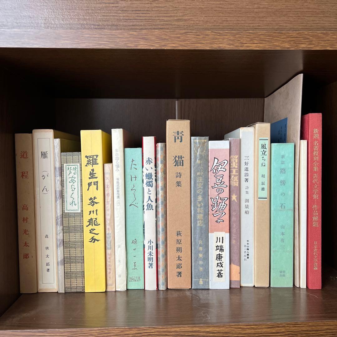 【美品未使用】新選名著復刻全集　近代文学館　刊行財団法人日本近代文学館