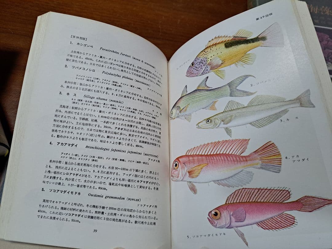 【激レア】原色魚類図鑑4点セット！　保育社