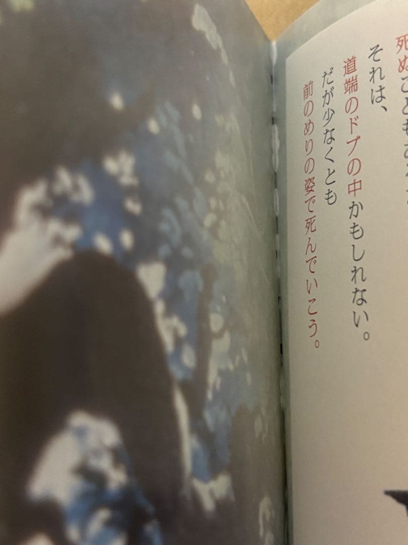 お～い!竜馬 DVD-BOX 完全収録版〈10枚組〉