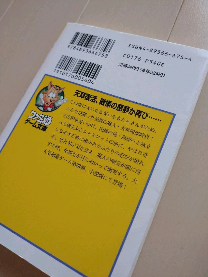 サムライスピリッツ天草降臨 小説