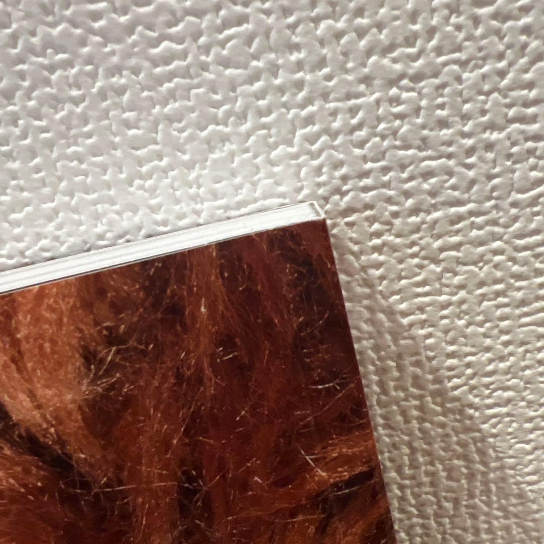 アート・デザイン・音楽 NIGO ONLY LIVES TWICE