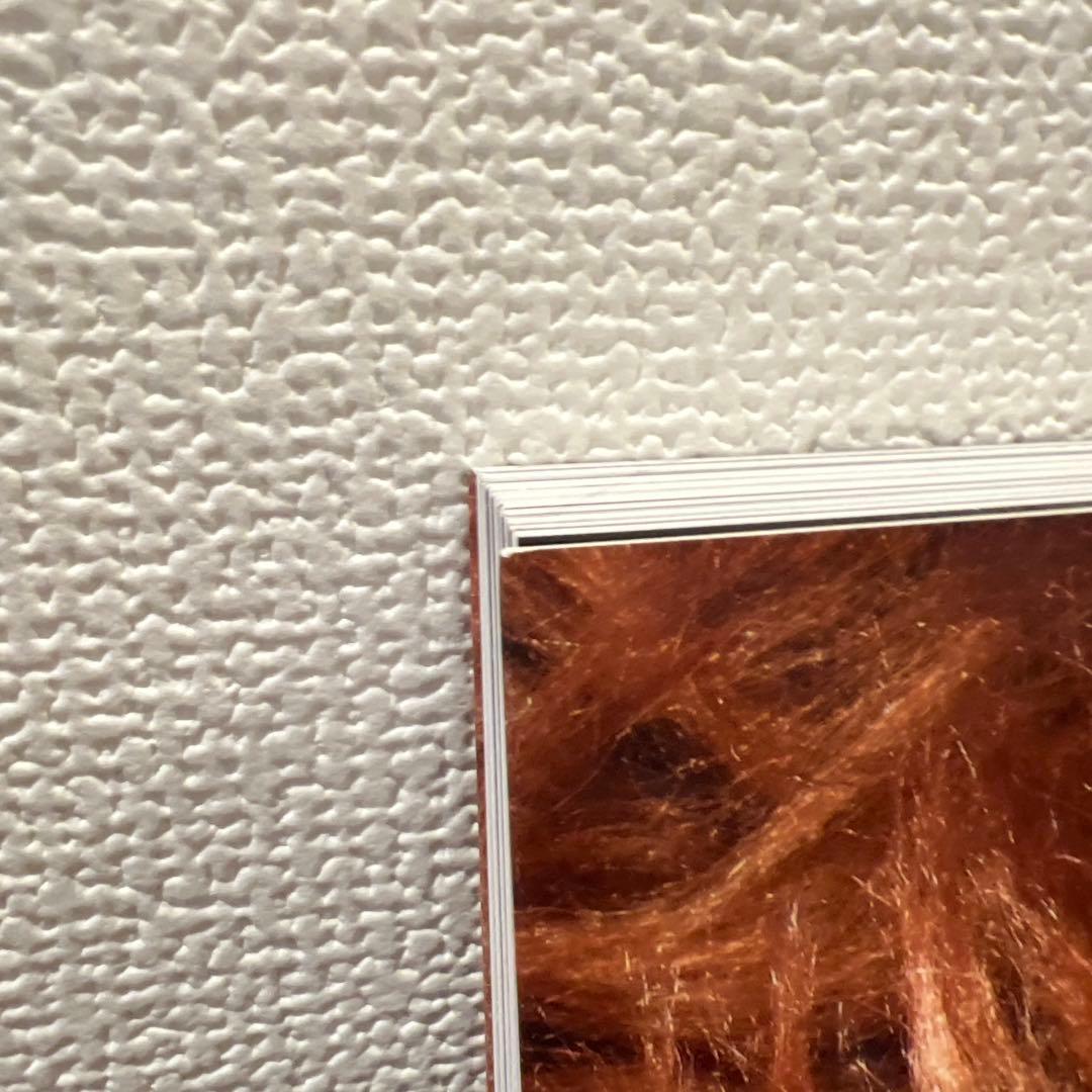 アート・デザイン・音楽 NIGO ONLY LIVES TWICE