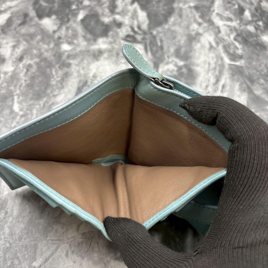 ÂÅÆ ✨ボッテガヴェネタ　アイヤーズ　二つ折り　パイソン