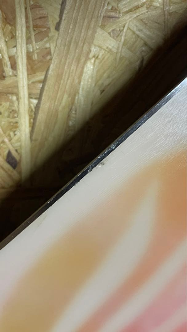 スノーボード BURTON DEEP THINKER 157