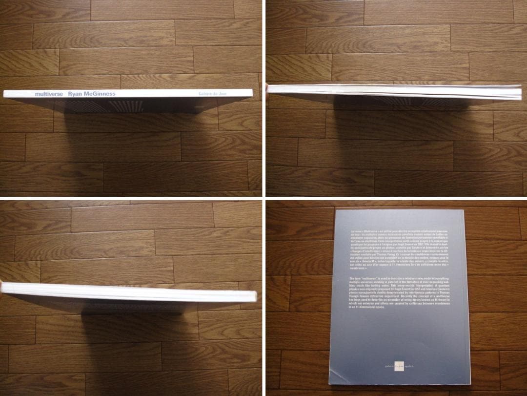 Multiverse　Ryan McGinness　直筆サイン　限定1000部