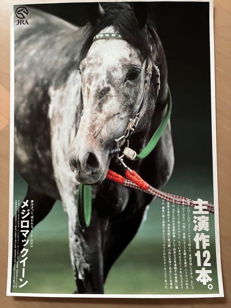 JRA ヒーロー列伝 ポスター 8枚セット NO.32〜39 ライスシャワー他