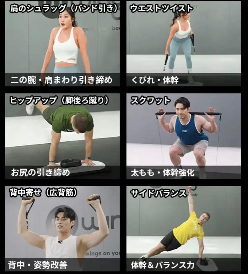 Wingbo 脂肪燃焼も引き締めも１台で　ホームジム　エクササイズボード