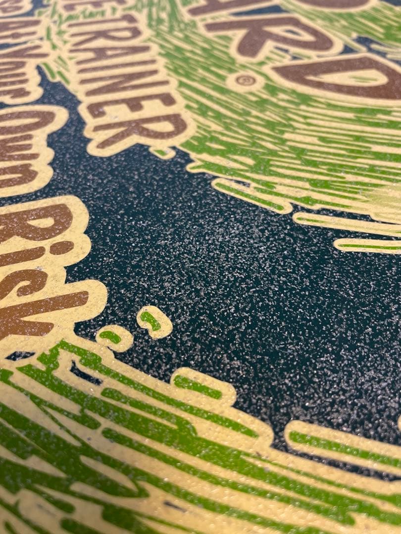 INDO BOARD バランスボード BALANCE TRAINER