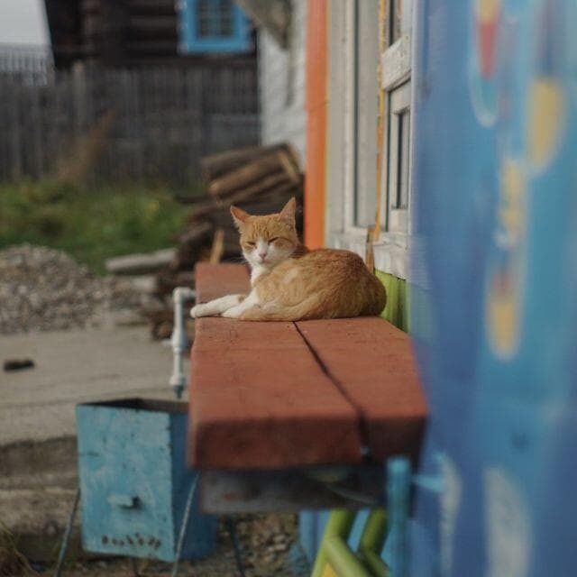 4　美品　初期型　整備済み　ジュピター 8 　2/50 L39　オールドレンズ