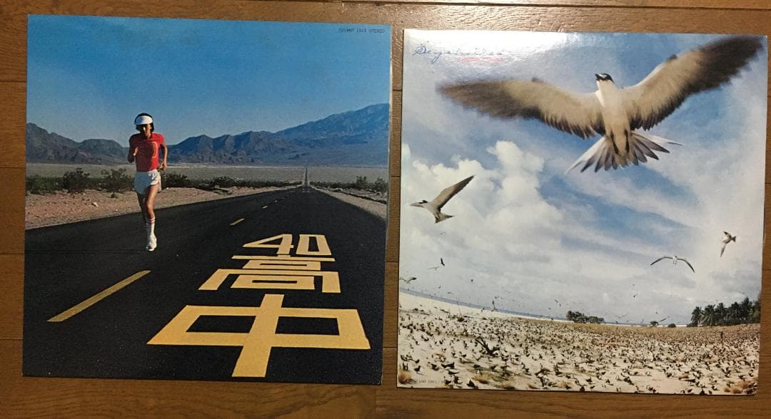 【シティポップ 和モノ】高中正義／SEYCHELLES &サードアルバム【2枚】