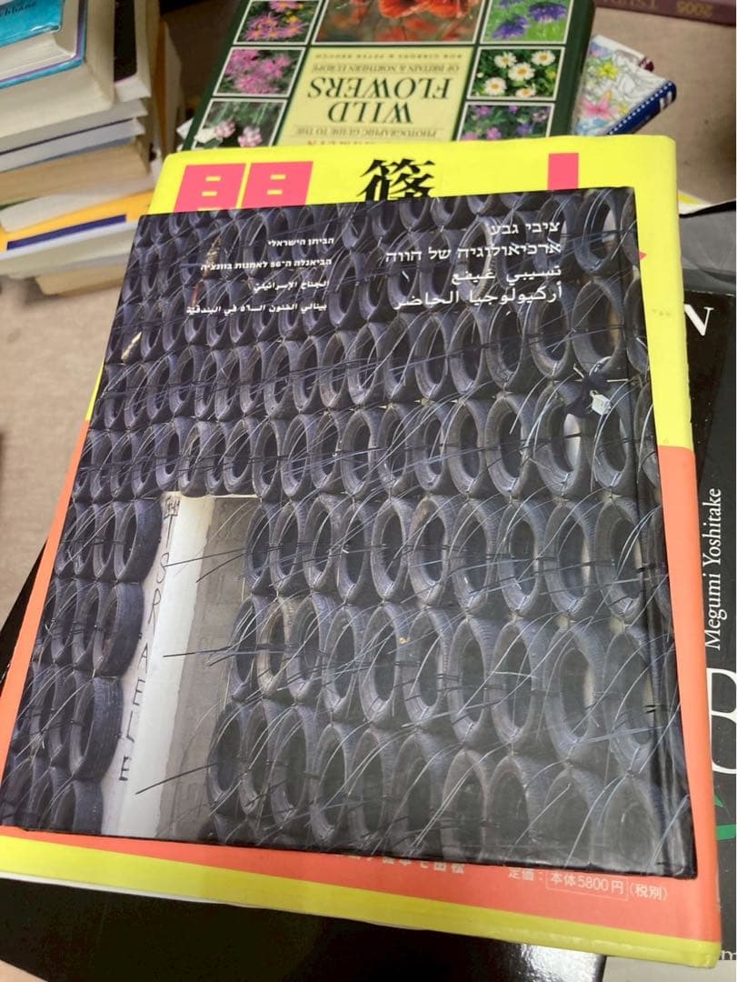 tsibi geva 図録　　archeology of present