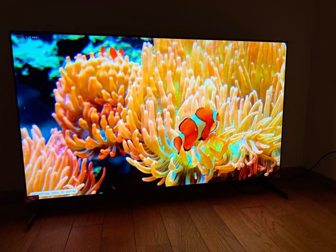 も*ち様 美品 OLED55G1PJA LG 55型TV 初期フィルム・ウォール