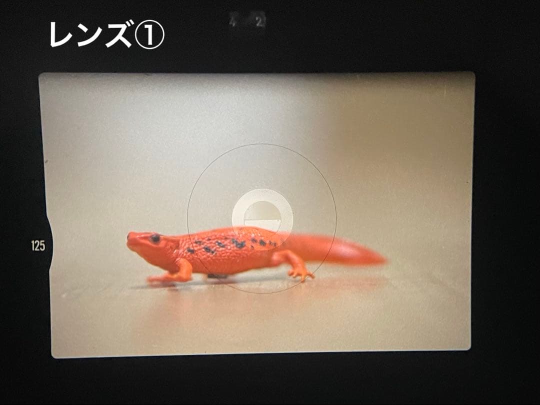 Nikon FM2 フィルムカメラ レンズ3本セット