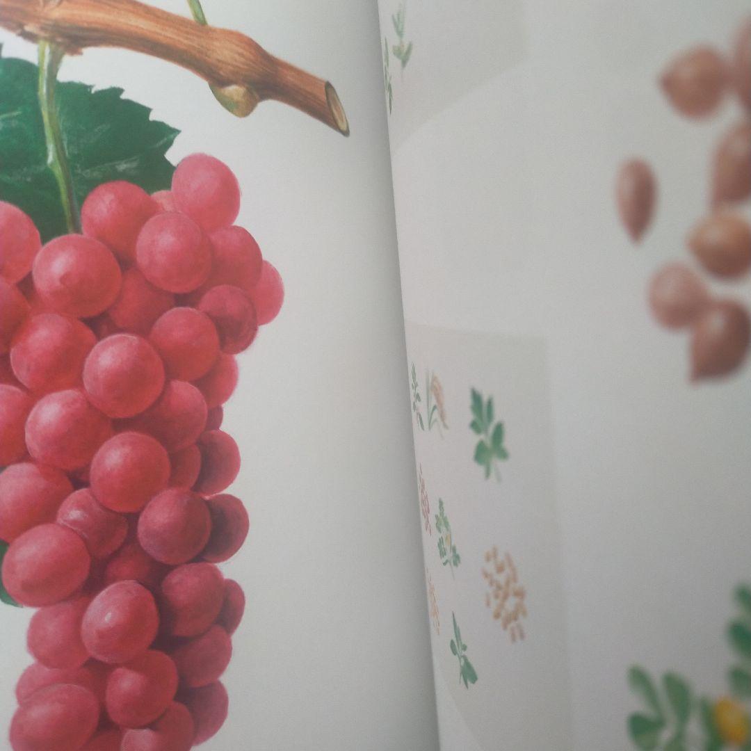 須田悦弘 図録 松濤美術館 杉本博司 川瀬敏郎 彫刻 木彫 現代美術 絶版