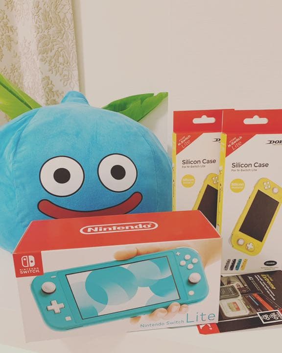 スイッチライト・本体・保護フィルム・カバー・ SDカード付き