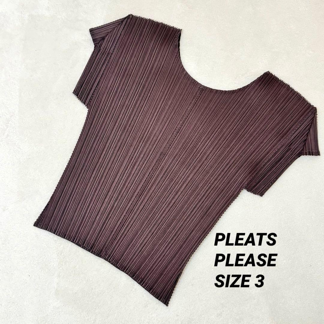 極美品✨PLEATS PLEASE 特殊加工　プリーツ　半袖　ブラウン　トップス