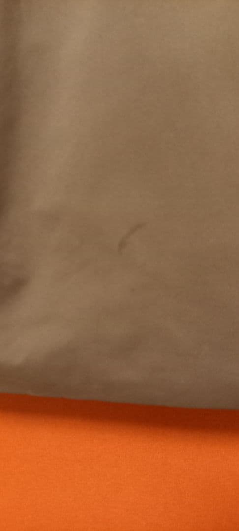 MIZUNO Ski Wear 2024 ー25 FREE SKI SOLID