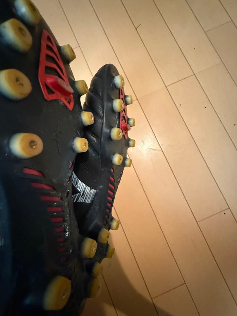 モレリアネオ4.25.5cm