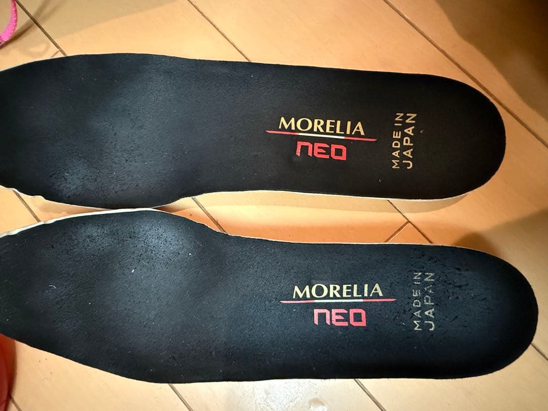 モレリアネオ4.25.5cm